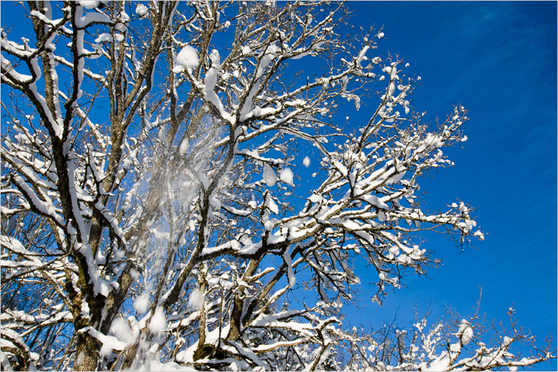20100109-08
