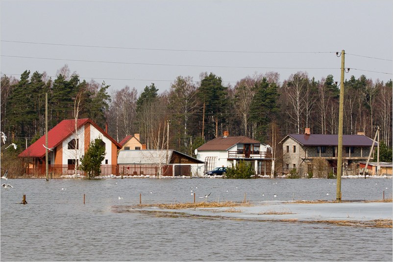 20100327-12