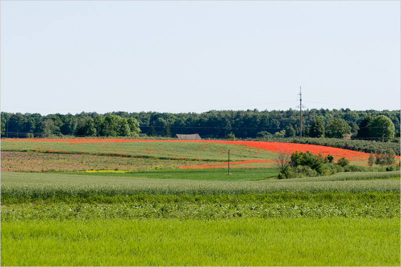 20100627-07