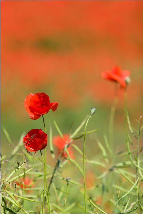 20100627-09