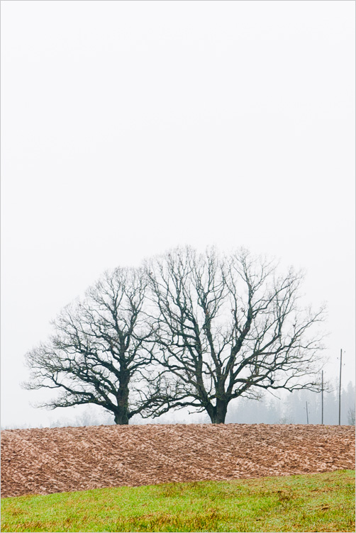 20101120-02