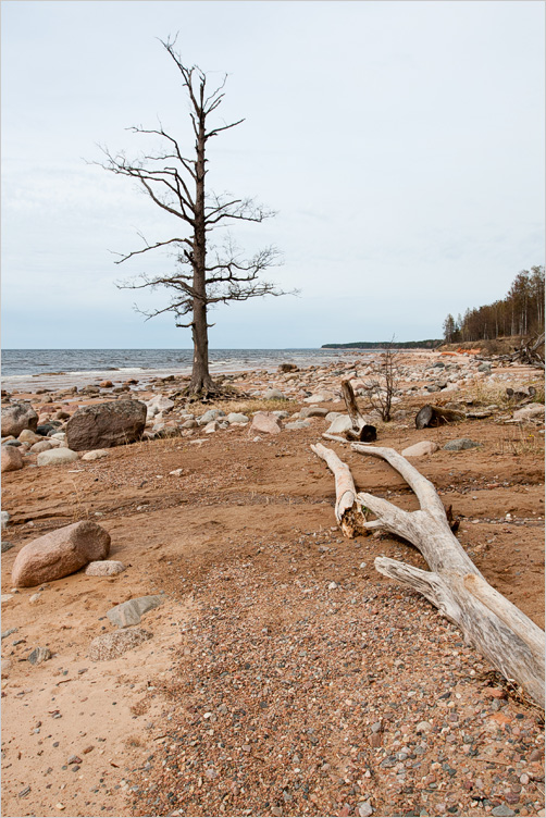 20120429-02