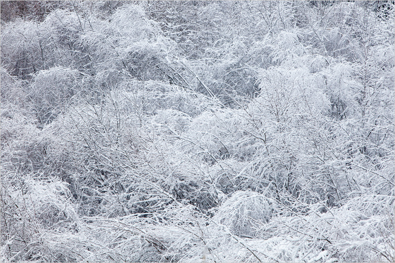 20121202-08