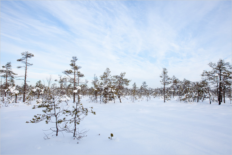 20130120-01