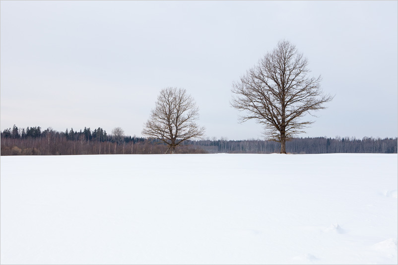 20130224-07