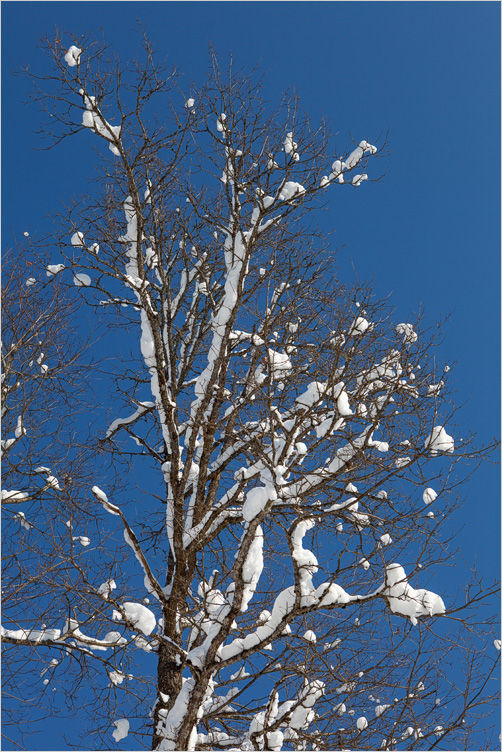 20130224-12