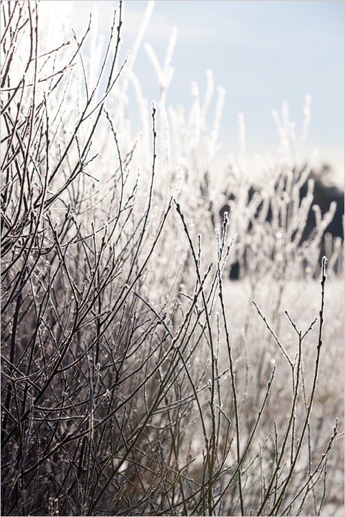 20130317-01