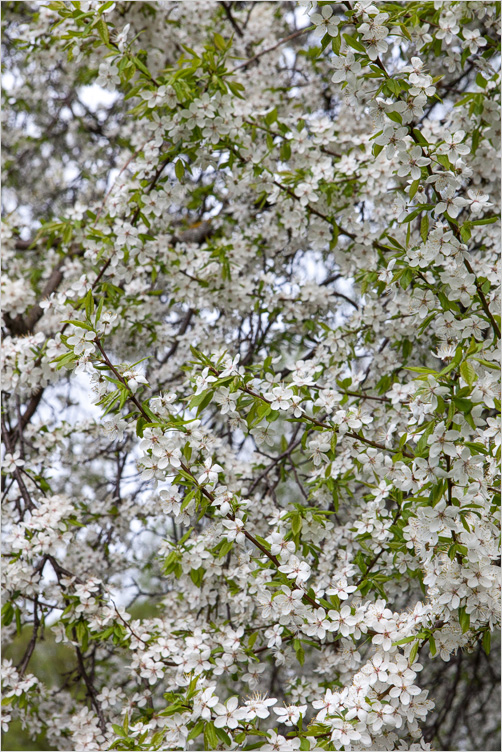 20130512-01