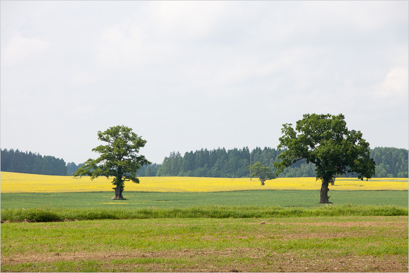 20130601-08
