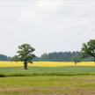 20130601-08