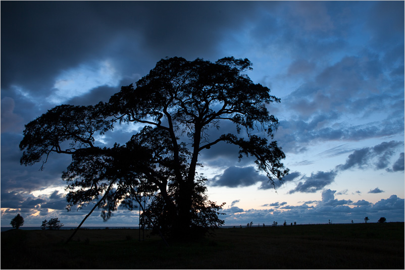 20130822-22