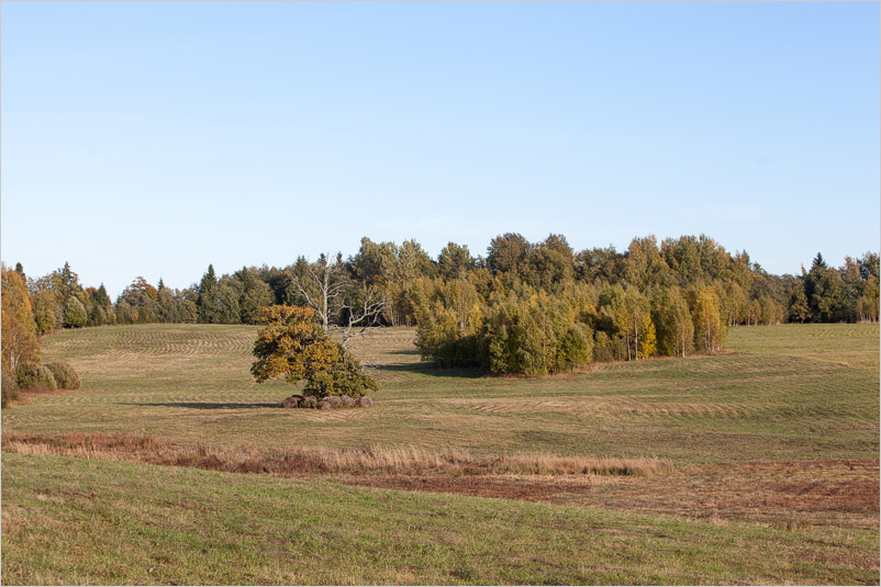20131005-12