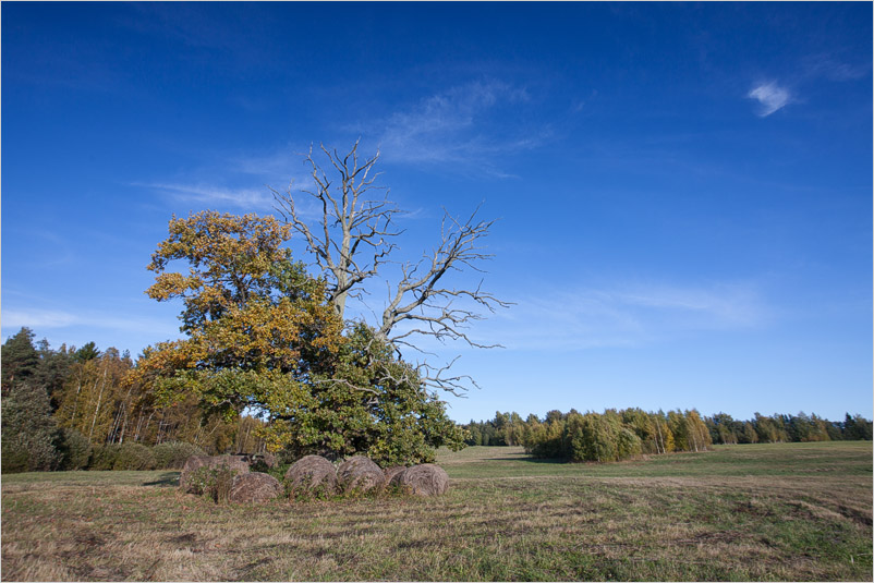 20131005-13