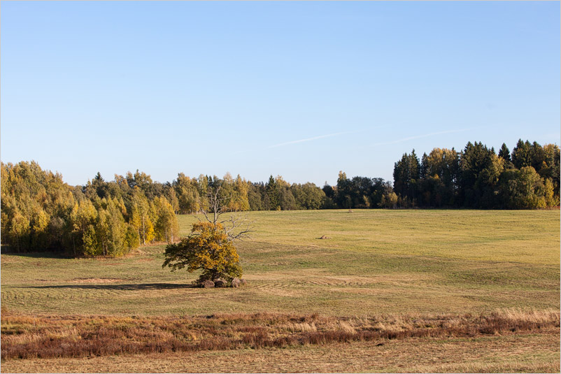 20131005-14