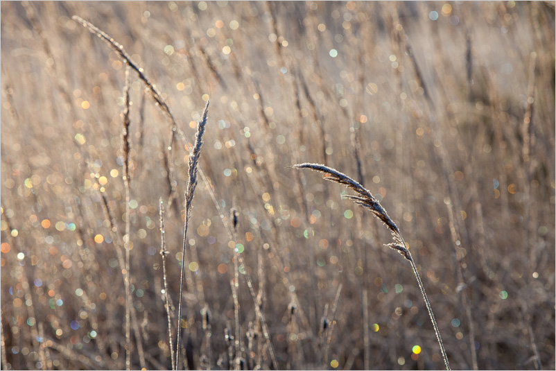 20131130-04