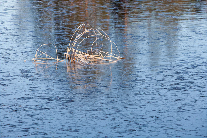 20131130-13