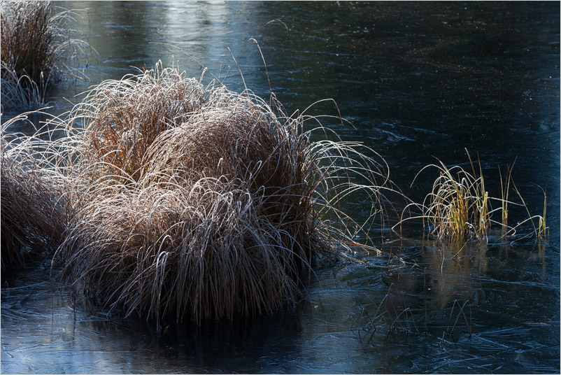 20131130-20