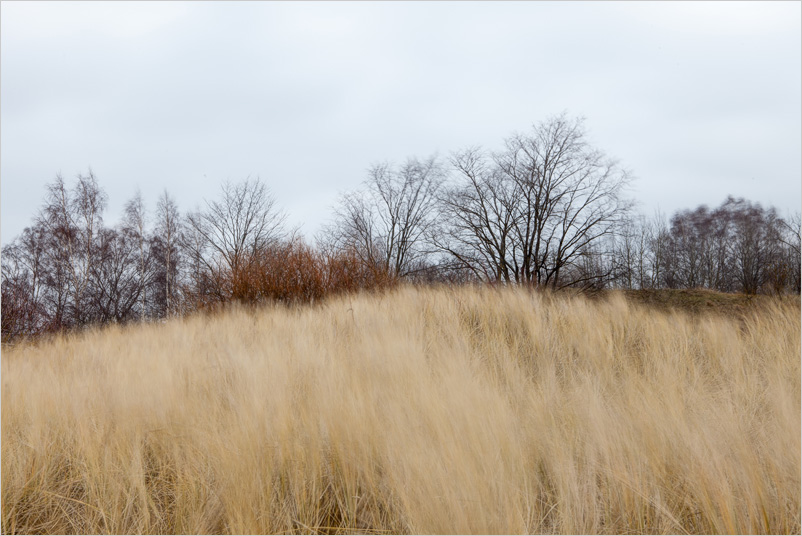 20131228-01