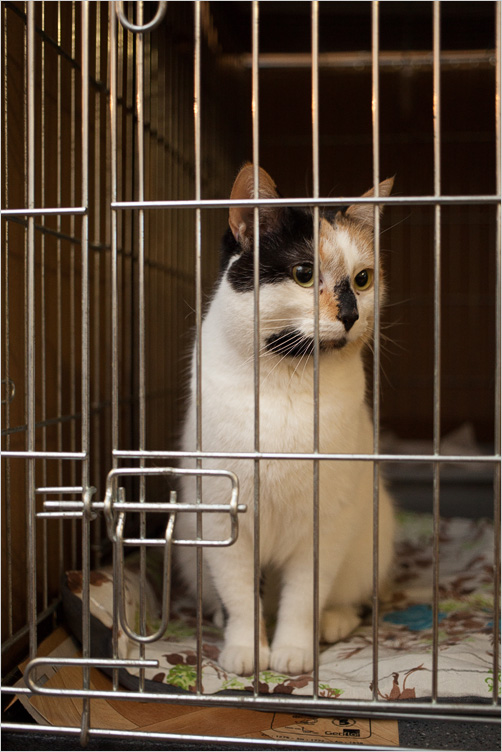 20140118-06