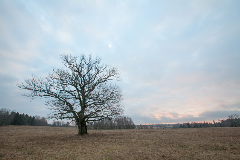 20140223-04