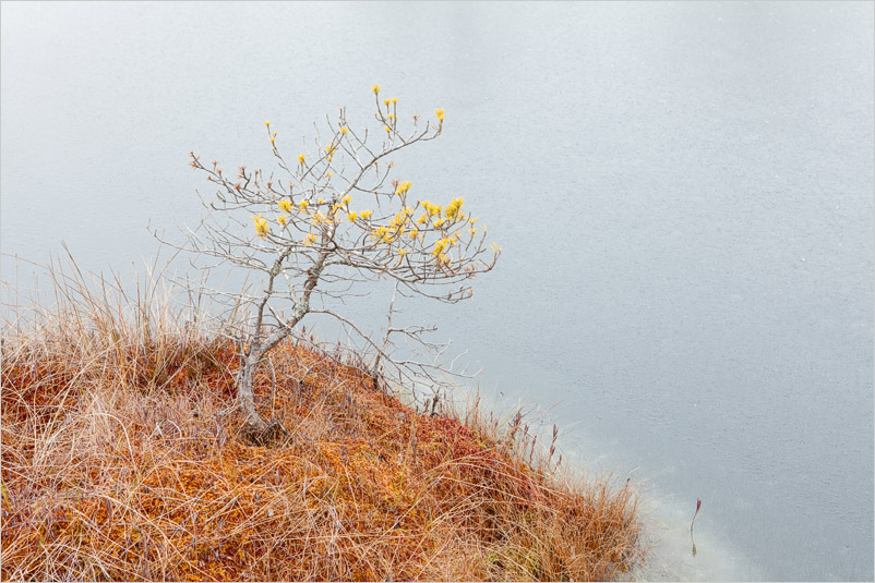 20140302-08