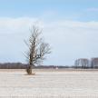 20140316-02