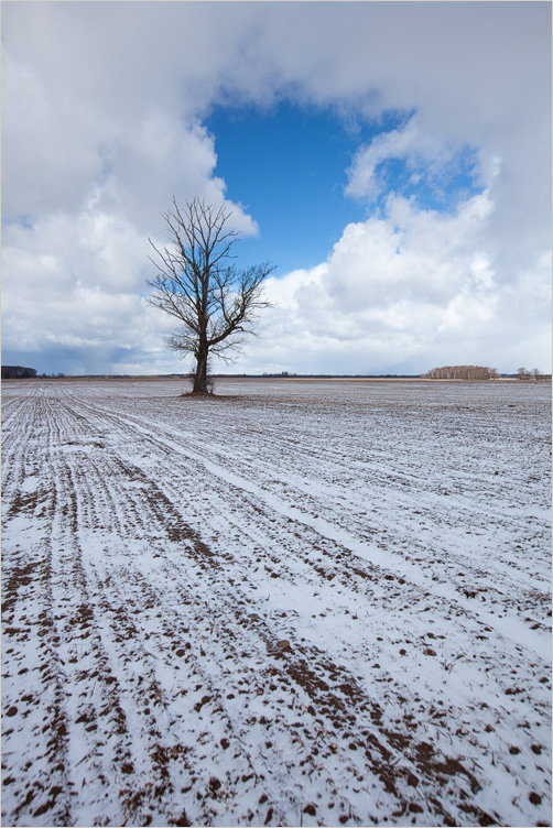 20140316-04