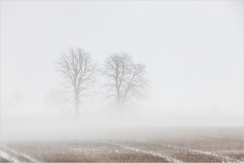 20140316-15