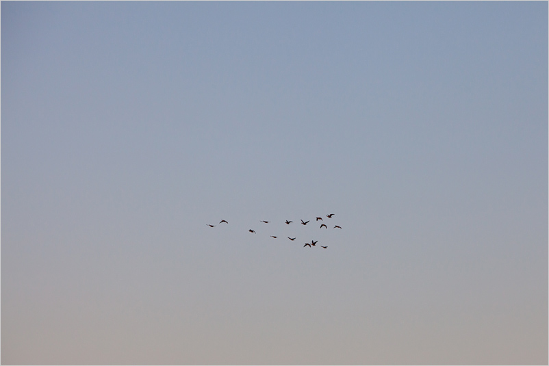 20140329-02