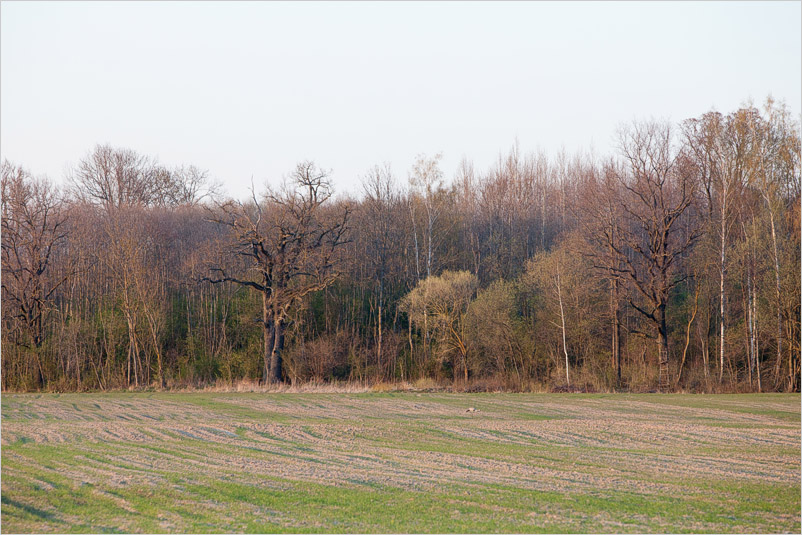 20140419-10