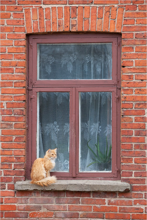 20140421-12