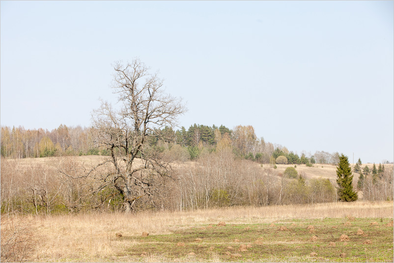 20140421-19