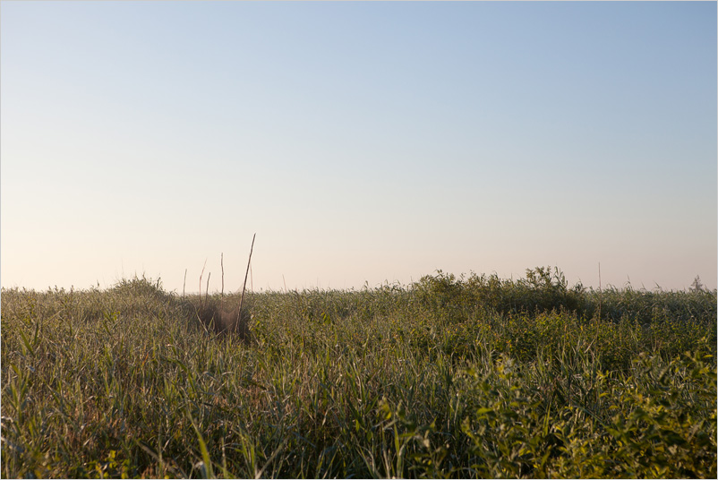 20140719-05
