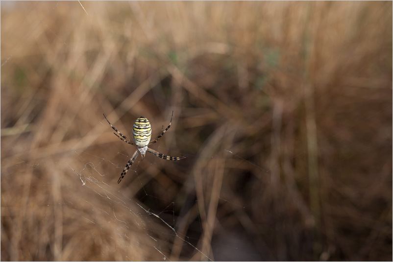 20140809-06