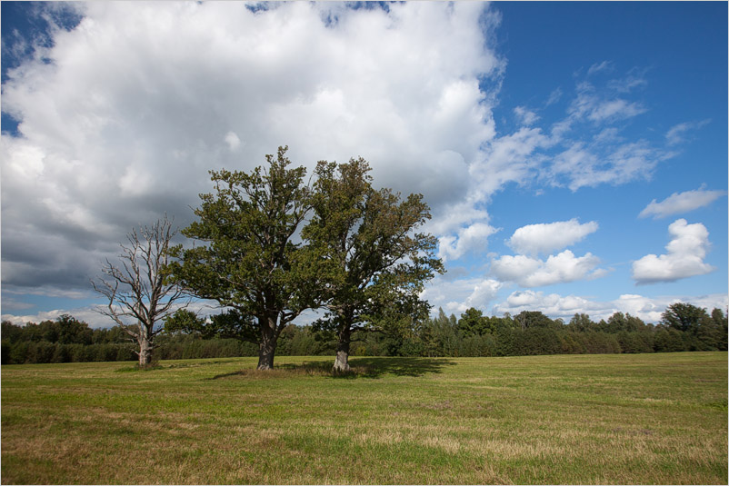 20140831-47