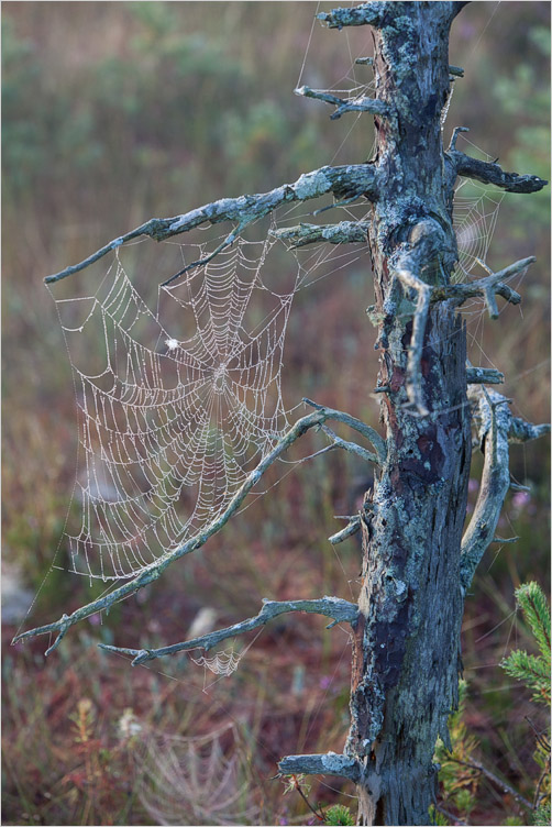 20140903-23