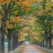 20141005-07