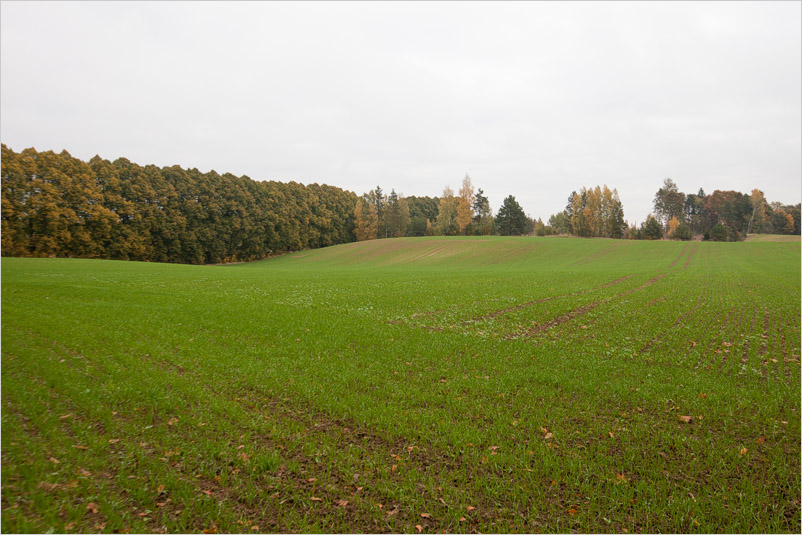 20141005-08