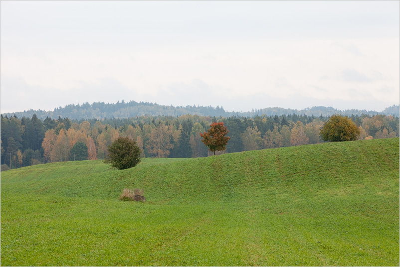 20141005-10