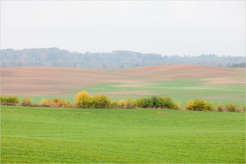 20141005-11