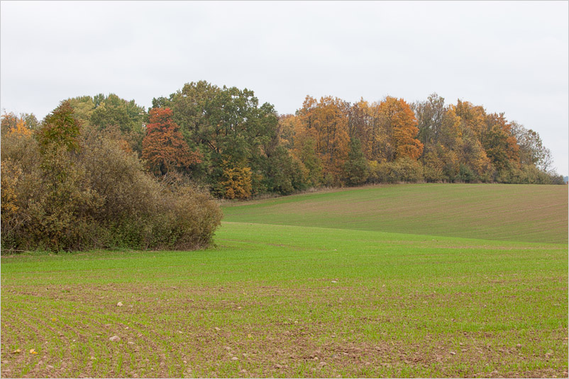 20141005-13