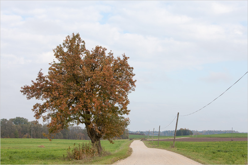 20141005-15