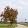 20141005-15