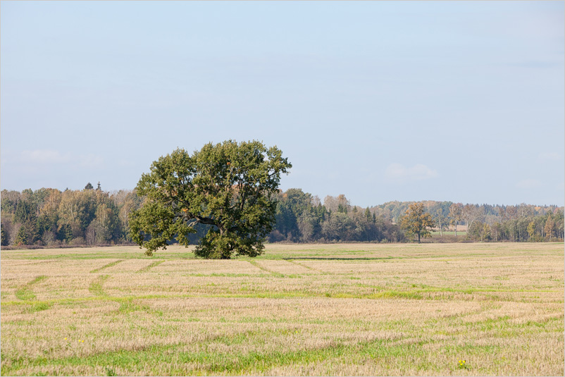 20141005-24