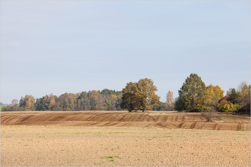 20141005-25