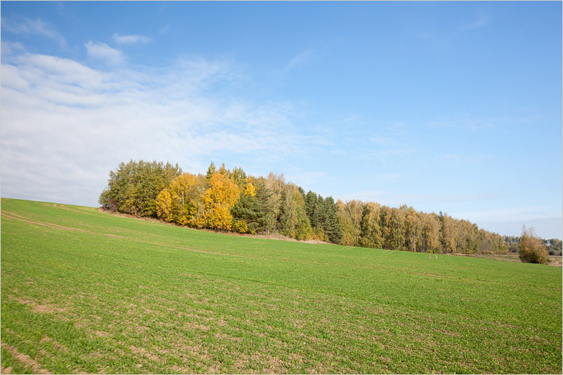 20141005-27