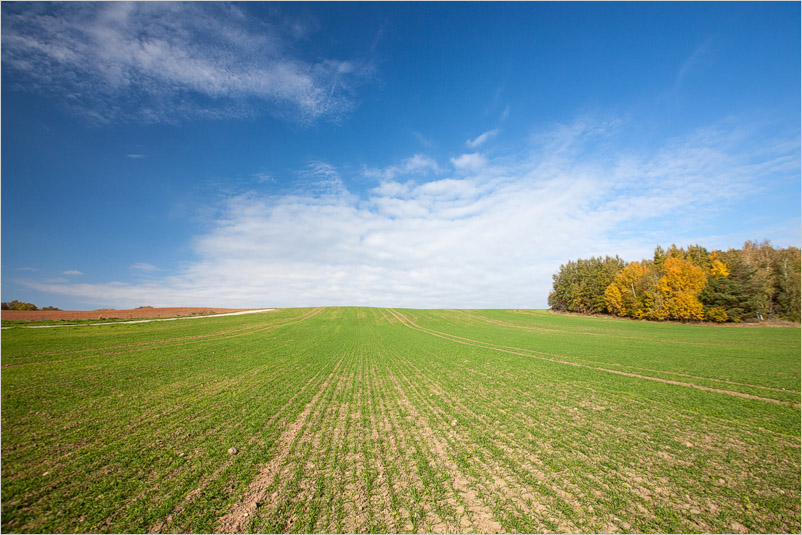 20141005-29