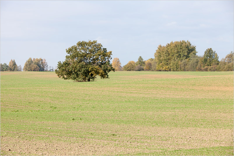 20141005-32