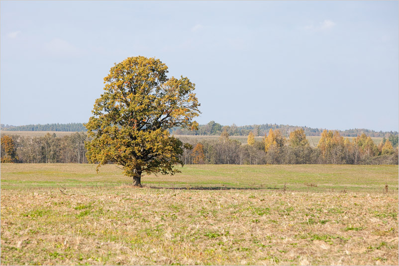 20141005-33