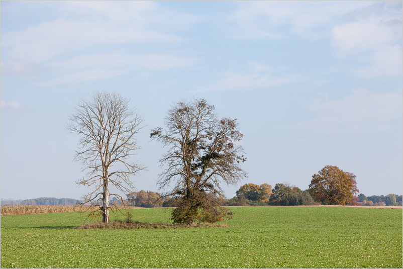 20141005-36